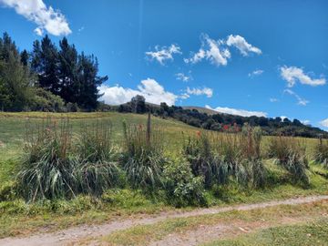 HACIENDA GANADERA DE VENTA MACHACHI