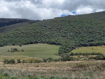 HACIENDA GANADERA DE VENTA MACHACHI