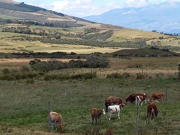 HACIENDA GANADERA DE VENTA MACHACHI