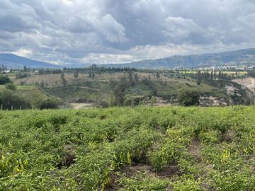 OPORTUNIDAD - TERRENO EN VENTA - SECTOR SAN MIGUEL EL QUINCHE
