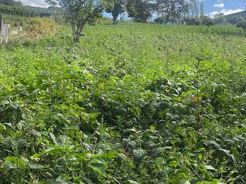 OPORTUNIDAD - TERRENO EN VENTA - SECTOR SAN MIGUEL EL QUINCHE