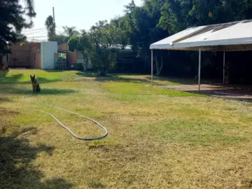Delicias Cuernavaca Morelos Venta De Terreno 66% De Barda Escriturado