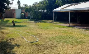 Delicias Cuernavaca Morelos Venta De Terreno 66% De Barda Escriturado