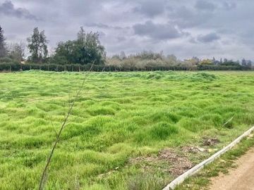 Venta Terreno 5000m2, Talagante