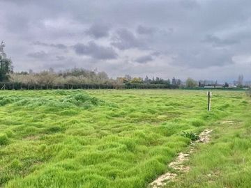 Venta Terreno 5000m2, Talagante