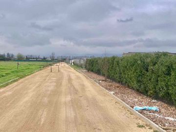 Venta Terreno 5000m2, Talagante