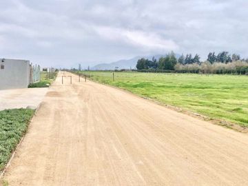 Venta Terreno 5000m2, Talagante
