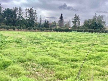 Venta Terreno 5000m2, Talagante