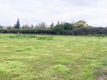 Venta Terreno 5000m2, Talagante