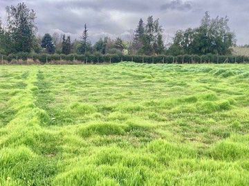 Venta Terreno 5000m2, Talagante