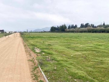 Venta Terreno 5000m2, Talagante