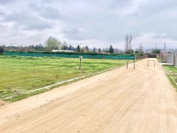Venta Terreno 5000m2, Talagante