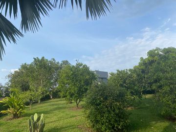 Venta de Casa en Pereira