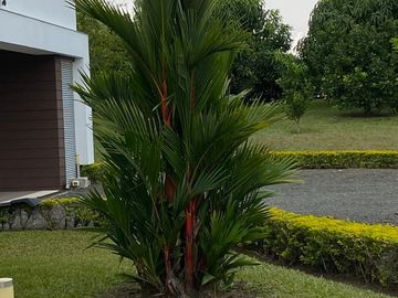 Venta de Casa en Pereira