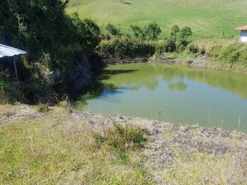 HACIENDA EN OTAVALO SELVA ALEGRE DE 62 HECTAREAS