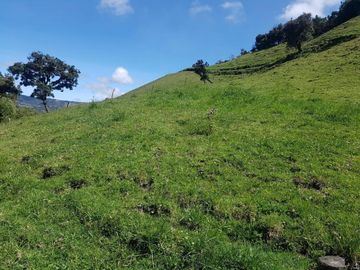HACIENDA EN OTAVALO SELVA ALEGRE DE 62 HECTAREAS