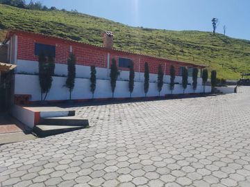 HACIENDA EN OTAVALO SELVA ALEGRE DE 62 HECTAREAS