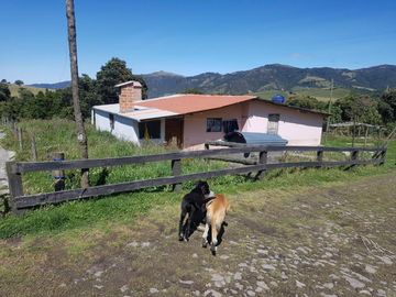 HACIENDA EN OTAVALO SELVA ALEGRE DE 62 HECTAREAS