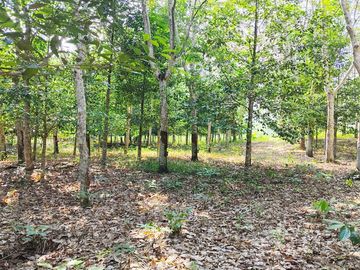 Jual Tanah 27.060 m2 di Balikpapan Timur Kota Balikpapan Dekat Polsek Balikpapan Timur
