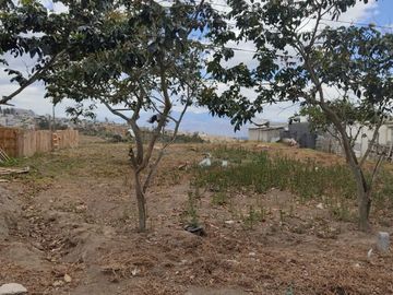 Vendo terreno de 993M2 Zambiza, sector Cocotog