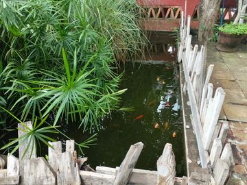 ¡Ubicada en una zona tranquila, cuenta con todos los servicios! ¡Ideal para invertir tal como está o hacerle cambios según tu proyecto!
