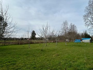 OPORTUNIDAD Parcela  salida Norte ,sector Catripulli.Pitraco a 25 kms de Valdivia..