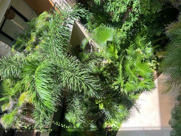 Venta Pent-house con Roof Garden Entrega Inmediata !
