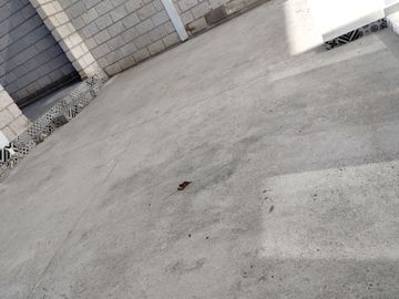 CASA EN VENTA CUMBRES DE JURIQUILLA