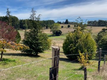 Espectacular casa en campo de 10,5 hectáreas - Región de Los Ríos