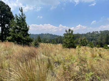 MAGNIFICO TERRENO EN VENTA EN MESA RICA
