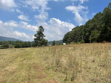 MAGNIFICO TERRENO EN VENTA EN MESA RICA