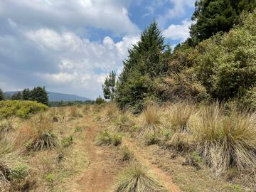 MAGNIFICO TERRENO EN VENTA EN MESA RICA