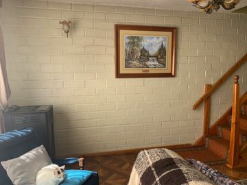 Se vende casa en Pedro Montt