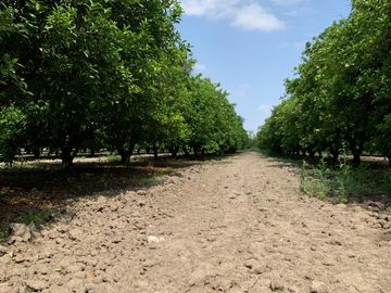 RANCHO EN VENTA CADEREYTA NUEVO LEON . CITRICOLA