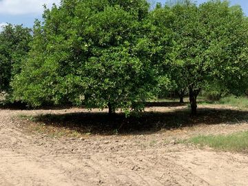 RANCHO EN VENTA CADEREYTA NUEVO LEON . CITRICOLA
