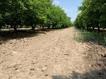 RANCHO EN VENTA CADEREYTA NUEVO LEON . CITRICOLA