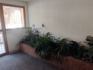 Departamento con Balcón en Coyoacán, Primer Piso 122 m² 3 Recámaras.