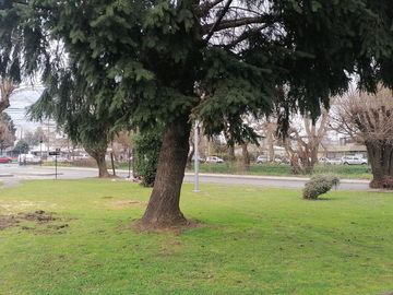 Vendemos en Temuco amplia casa de esquina ubicación potencialmente comercial sector Gabriela Mistral