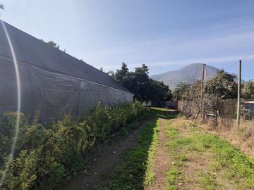 Terreno agricola, variedad de arboles frutales, Hijuelas