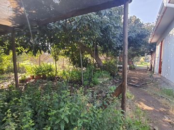 Terreno agricola, variedad de arboles frutales, Hijuelas