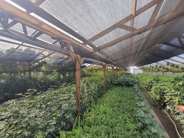 Terreno agricola, variedad de arboles frutales, Hijuelas