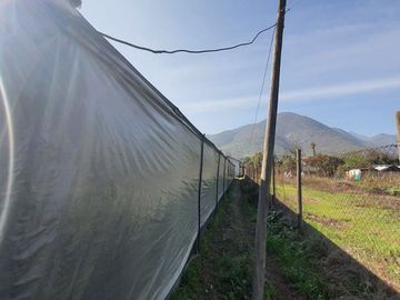 Terreno agricola, variedad de arboles frutales, Hijuelas