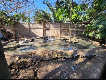 Hermosa Casa En Malloco , En Venta .