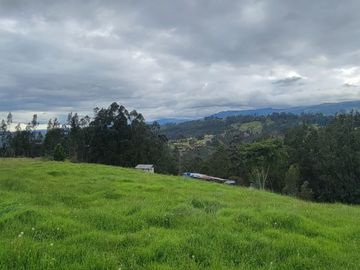 VENTA DE HACIENDA EN CUENCA