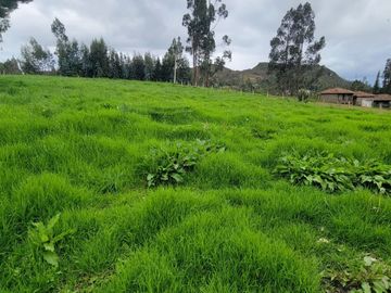 VENTA DE HACIENDA EN CUENCA