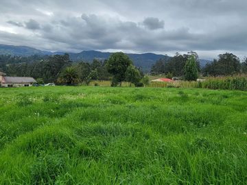 VENTA DE HACIENDA EN CUENCA