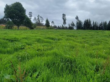 VENTA DE HACIENDA EN CUENCA