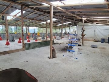 VENTA DE HACIENDA EN CUENCA