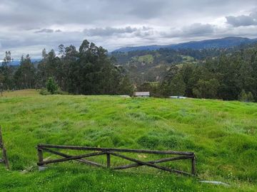 VENTA DE HACIENDA EN CUENCA