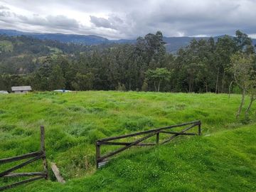 VENTA DE HACIENDA EN CUENCA